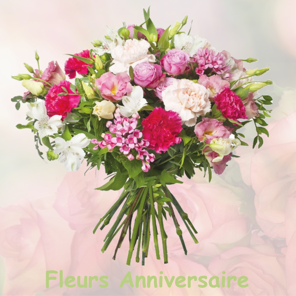 fleurs anniversaire MENARS